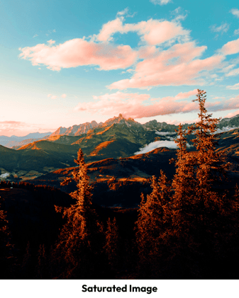 0824_Blog_PhotoSaturation_SatImage