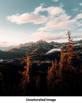 0824_Blog_PhotoSaturation_UnsatImage